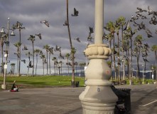 Guru.L.A.