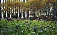 Musical-Chairs