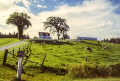 Vermont-Farm