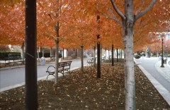 Robert-Wagner-Park-NYC