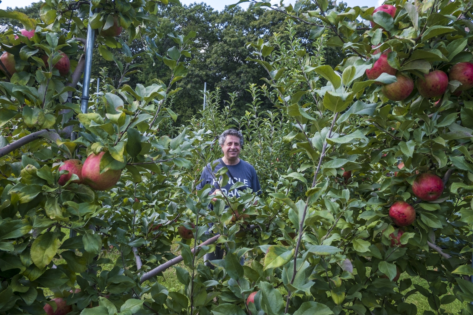 Dan in the Apple Orchard