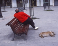 35.PaperHankNapping
